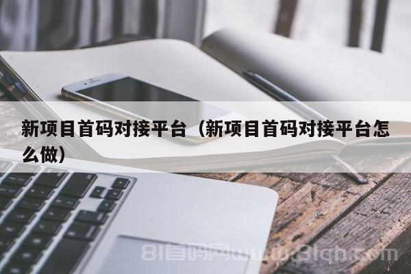 新项目首码对接平台（新项目首码对接平台怎么做）