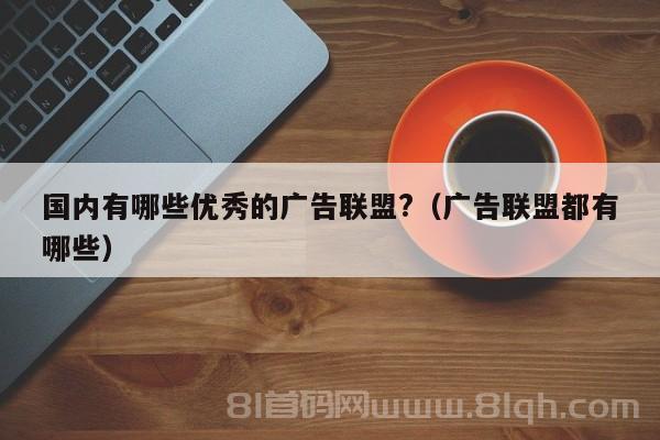 国内有哪些优秀的广告联盟?（广告联盟都有哪些）