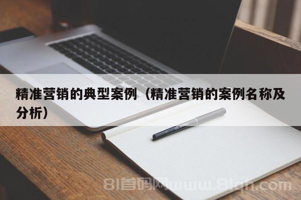 精准营销的典型案例（精准营销的案例名称及分析）