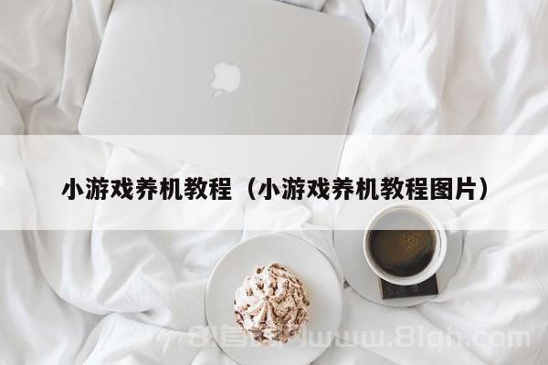 小游戏养机教程（小游戏养机教程图片）