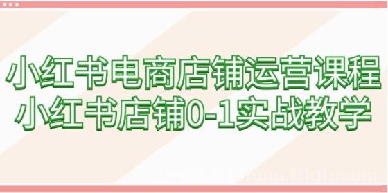 小红书电商店铺运营课程，小红书店铺0-1实战教学（60节课）