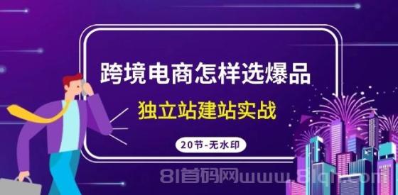 跨境电商爆品选品秘籍：独立站建站实战，精选20节高清无水印课程揭秘！