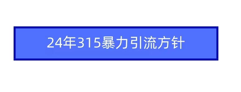 2024年315暴力引流方针