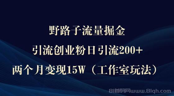 野路子流量掘金，引流创业粉日引流200+，两个月变现15W（工作室玩法））