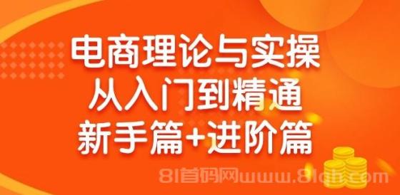 电商理论与实操从入门到精通：抖店+淘系+多多，新手篇+进阶篇