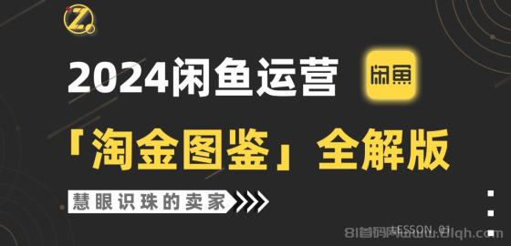 2024闲鱼运营，【淘金图鉴】全解版