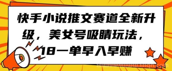 快手小说推文赛道全新升级，美女号吸睛玩法，18一单早入早赚