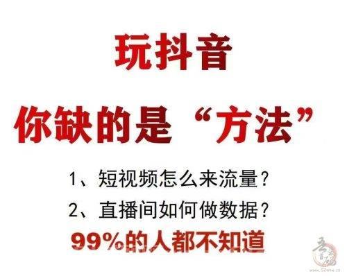 抖音黑科技兵马俑软件：助力直播间人气飙升！