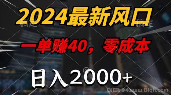 2024最新风口项目，一单40，零成本，日入2000+，100%必赚，无脑操作