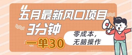 五月风口项目：最新短剧玩法，3分钟一单30，零成本，无脑操作