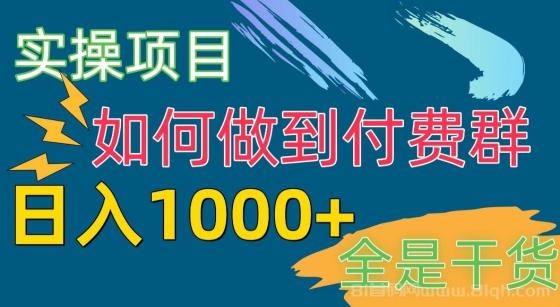 [实操项目]付费群赛道，日入1000+