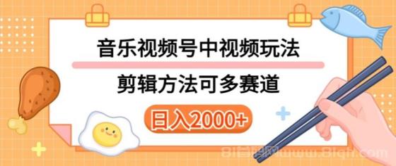 音乐中视频和视频号多种玩法，可多赛道，详细教程+附带素材