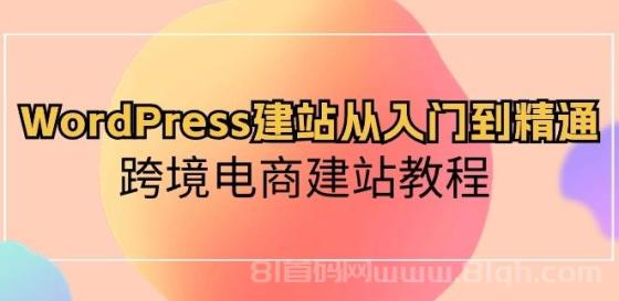 WordPress建站从入门到精通，跨境电商建站教程