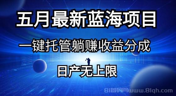 五月刚出最新蓝海项目一键托管 躺赚收益分成 日产无上限