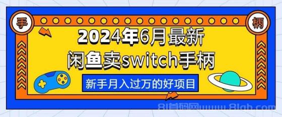 2024年6月最新闲鱼卖switch游戏手柄，新手月入过万的第一个好项目