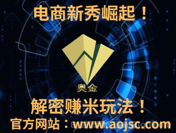 《 奥金商城》：网赚月入万米