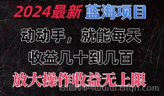 有手就行的2024全新蓝海项目，每天1小时收益几十到几百，可放大操作收…