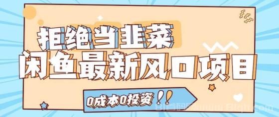 拒绝当韭菜！闲鱼最新风口项目，0成本0投资，当日出单，日入1000+