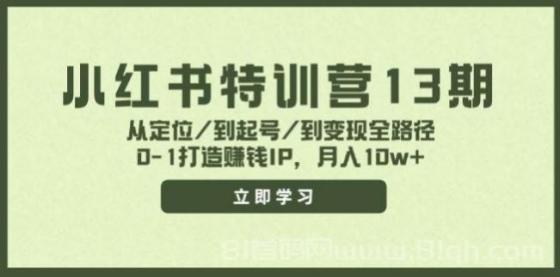 小红书特训营13期，从定位/到起号/到变现全路径，0-1打造赚钱IP，月入10w+