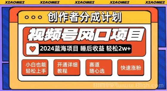 微信视频号大风口项目 轻松月入2w+ 多赛道选择，可矩阵，玩法简单轻松上手