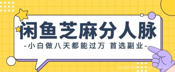 闲鱼芝麻分人脉，小白做八天，都能过万！首选副业！