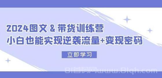 2024 图文+带货训练营，小白也能实现逆袭流量+变现密码