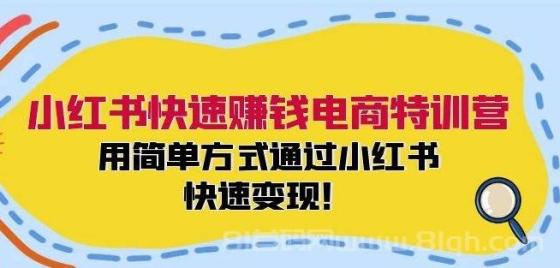 小红书快速赚钱电商特训营：用简单方式通过小红书快速变现！