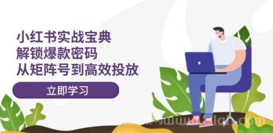 小红书实战宝典：解锁爆款密码，从矩阵号到高效投放