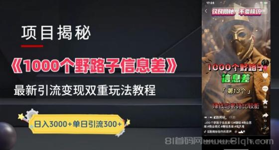 一千个野路子信息差24年最新玩法教程附带变现方法和引流的玩法具体拆解