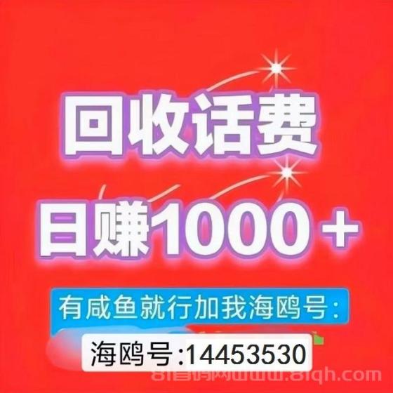 卡盟助手：绿色搬砖项目，日入千元超简单！揭秘日赚1000+的轻松赚钱秘籍