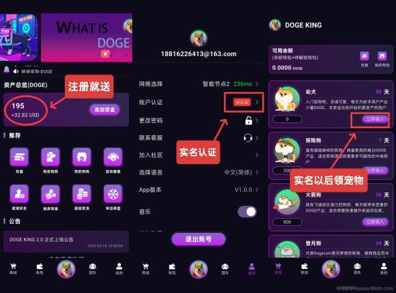 DogeKing首码上线:注册送800枚狗狗币,零成本开启财富之旅