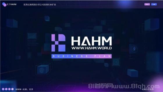 HAHM哈姆点评全网对接
