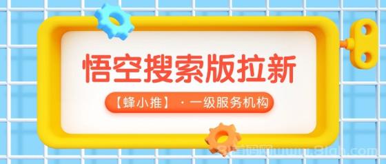 【蜂小推】新手如何提升悟空搜索版推广效果？这几个方法很实用