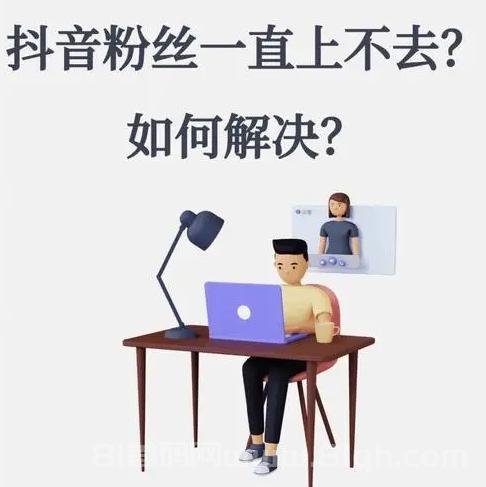 抖音粉丝购买与真实增粉：哪个更值得你投资？