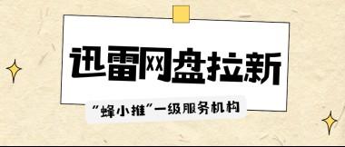蜂小推，迅雷网盘推广：适配多类人群，碎片时间就能创收