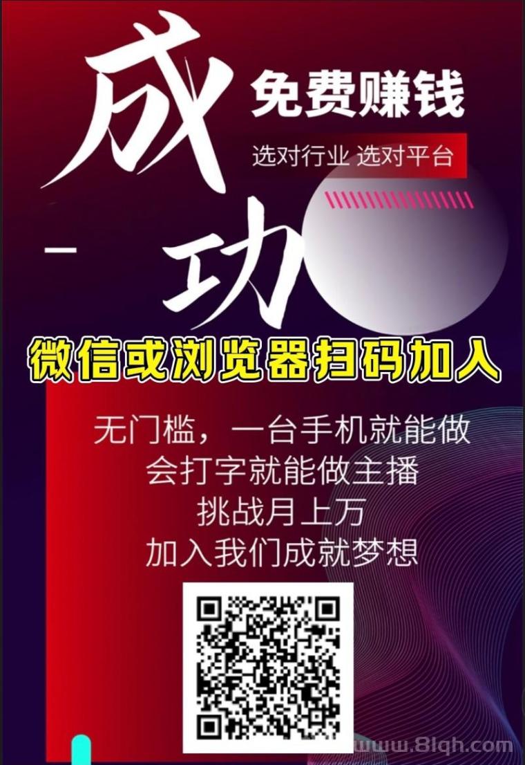 首码锦霖海外语聊风口机遇,月入过万,市场空白,全新风格独特系统UI