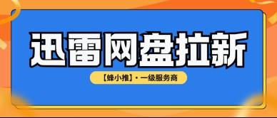 蜂小推，坚持长期运营，迅雷网盘拉新解锁被动收入长尾