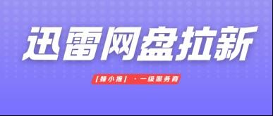 蜂小推，布局长期收益！迅雷网盘推广被动收入稳了