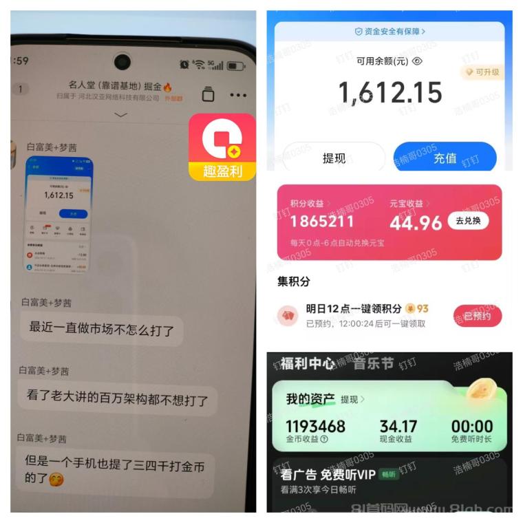 【趣盈利】高价任务+广告变现,可批量矩阵,人人可做!