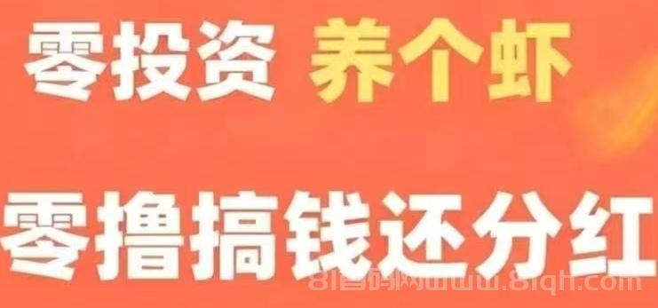 分红虾养成琻币虾零撸首码实测，注册送金币虾每日分0.66元，持有越多分红越多