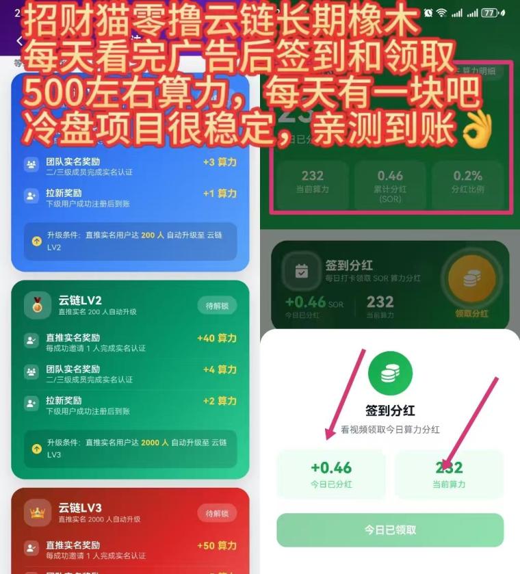 黑马橡木云链零撸4位数,芬虹模式,团队3袋,干就完了!