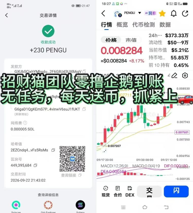 【PENGU】首码上线,持币每日分荭,团队高奖励,亲测零撸到账!