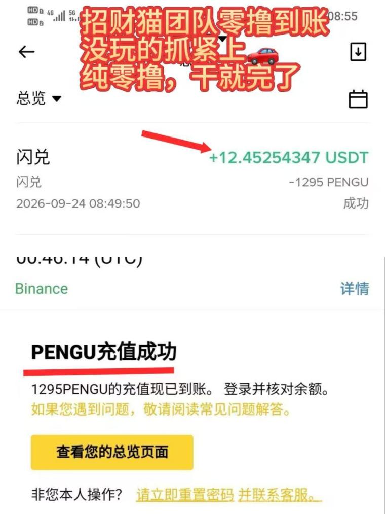 【PENGU】首码上线,持币每日分荭,团队高奖励,亲测零撸到账!