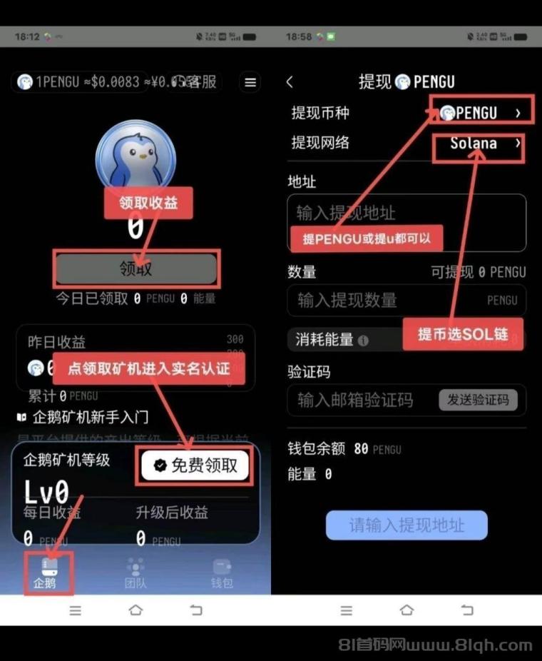 企鹅注册简单实名赠送送80Pengo①台永久矿机每日产出40Pengo