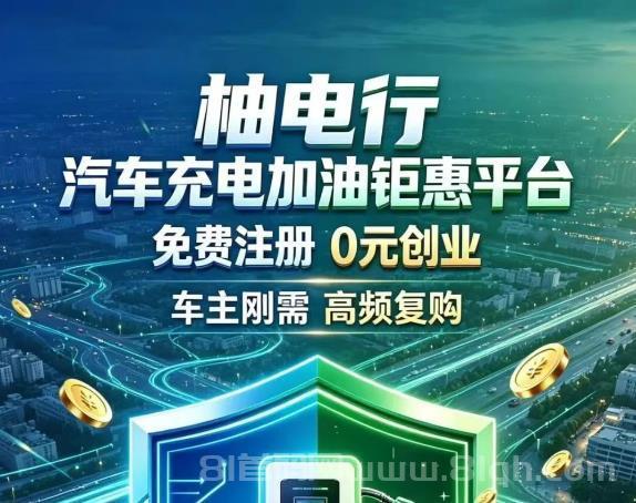 柚电行团队长招募，拿管道收益，新能源黄金风口好项目，共建充电万亿新赛道！